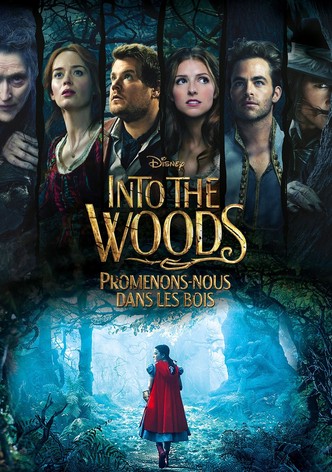 Into the Woods : Promenons-nous dans les bois