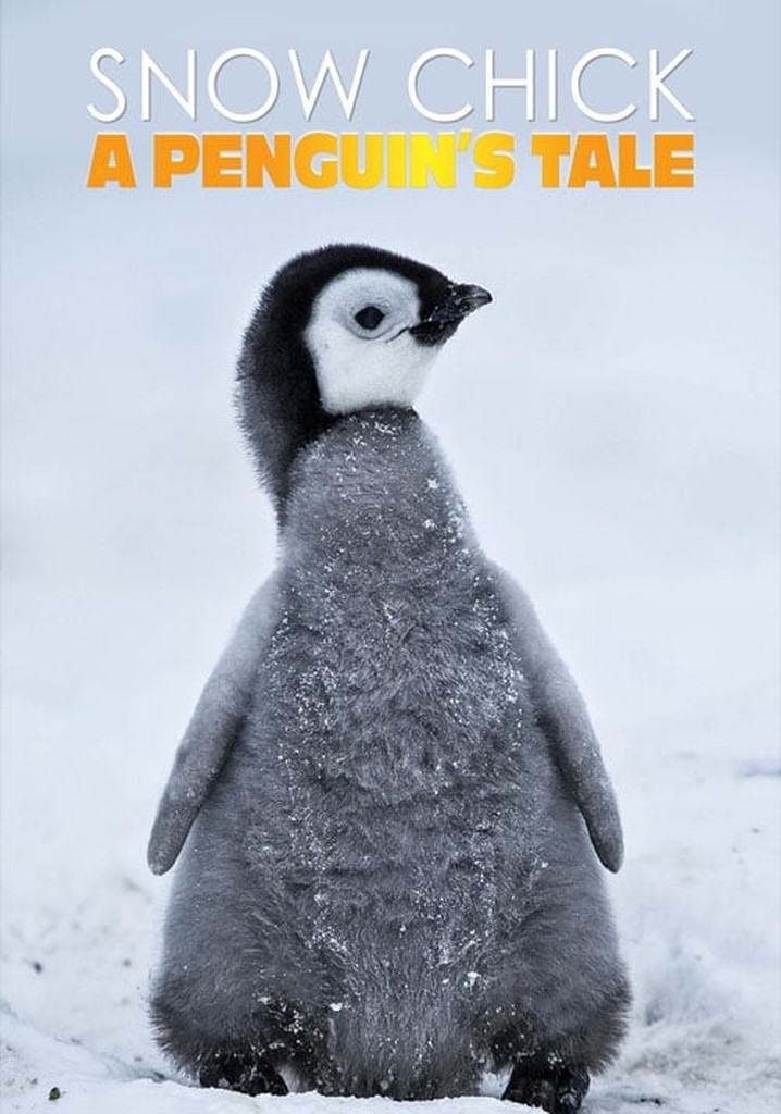 Snow Chick - A Penguin's Tale