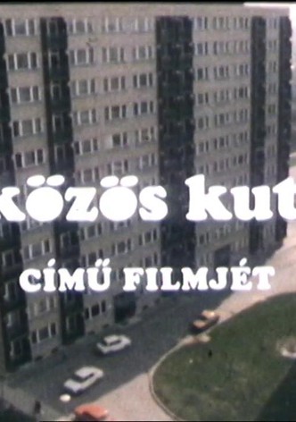 A közös kutya