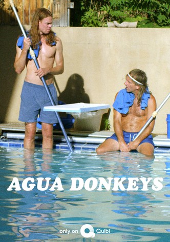 Agua Donkeys