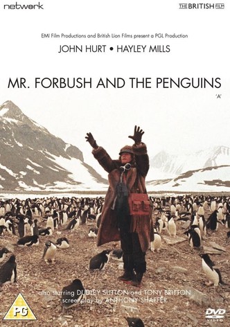 Antartida, O Mundo Encantado dos Pinguins