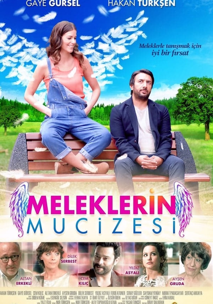 Meleklerin Mucizesi