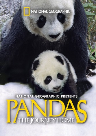 Pandas: The Journey Home