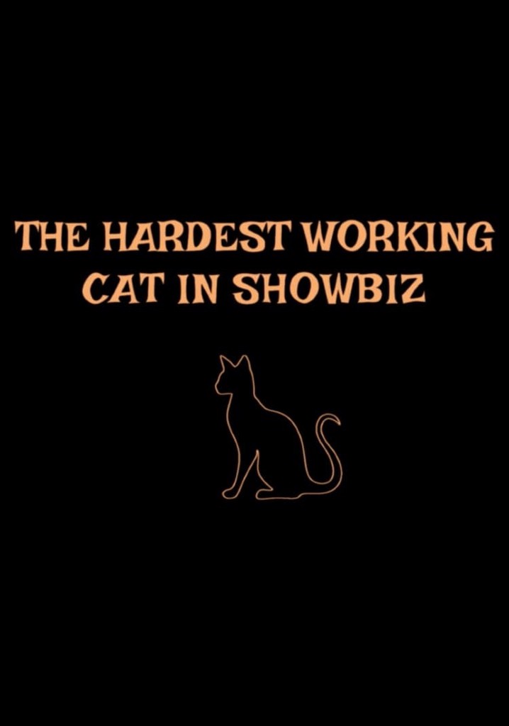 The Hardest Working Cat in Showbiz