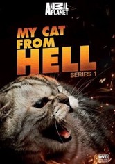 my cat from hell season 9 episode 1