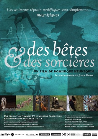 Des bêtes et des sorcières