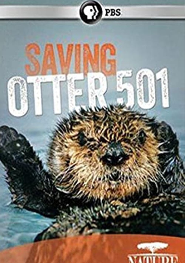 Saving Otter 501
