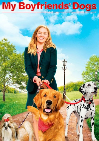 À la recherche de l'homme idéal