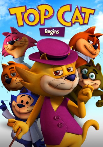Top Cat Begins