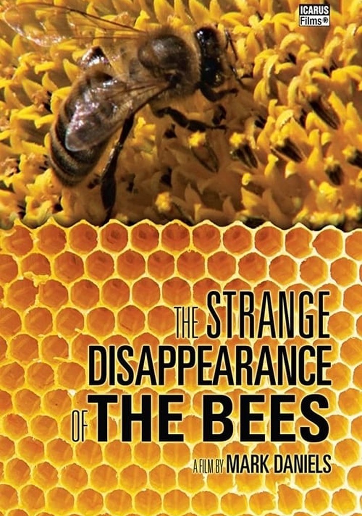 The Strange Disappearance of the Bees