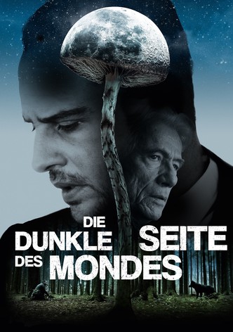 Die dunkle Seite des Mondes
