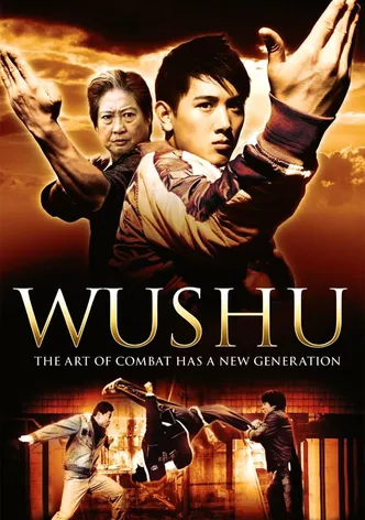 Wushu poster