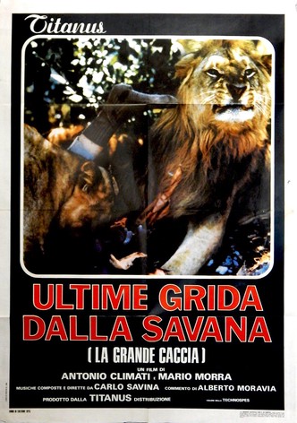 Ultime grida dalla savana