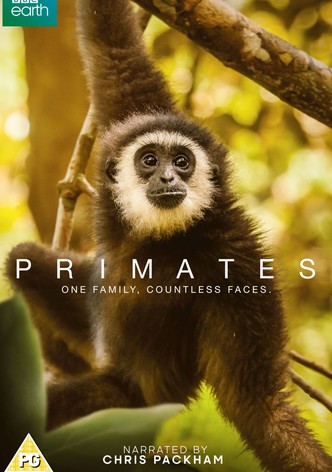 Primates