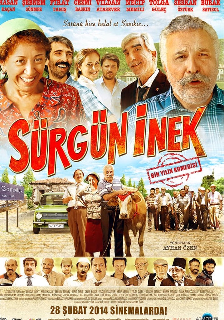 Sürgün İnek