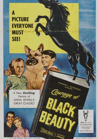 Courage of Black Beauty