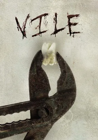 Vile poster