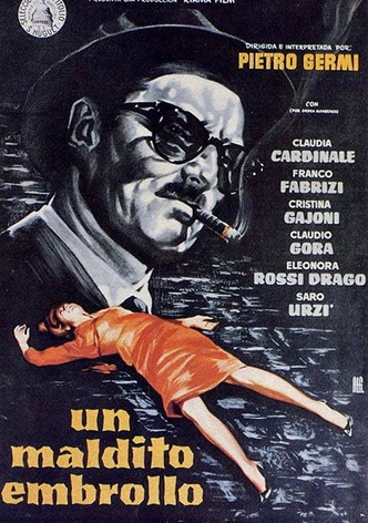 Un maldito embrollo