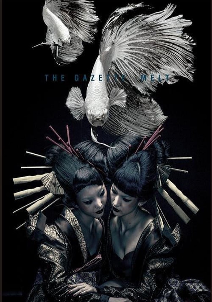 the GazettE LIVE TOUR 12-13 [DIVISION] FINAL MELT LIVE AT 03.10 SAITAMA SUPER ARENA