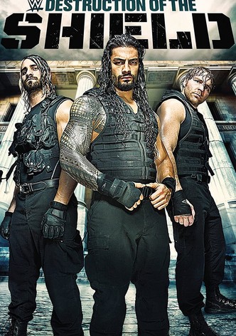 The Destruction of The Shield