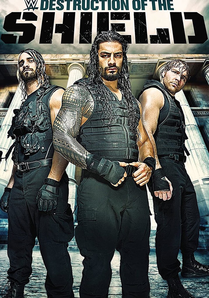 The Destruction of The Shield