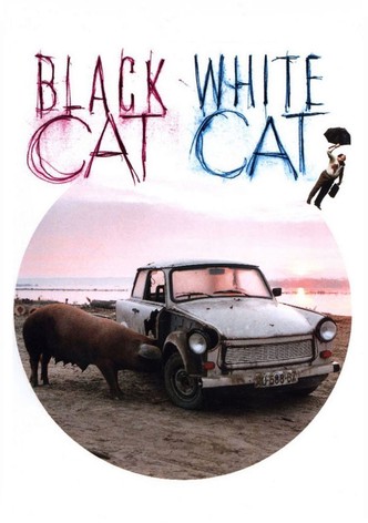 Black Cat, White Cat