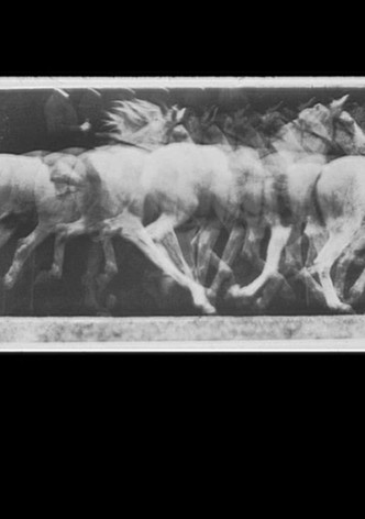 Gift of Fire: Nineteen (Obscure) Frames That Changed The World