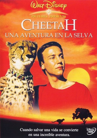 Cheetah, una aventura en la selva