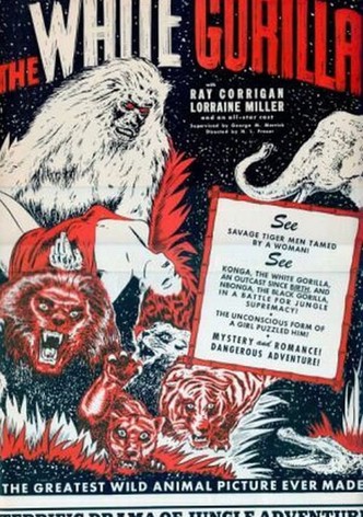 O Gorila Branco