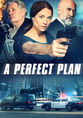 A Perfect Plan