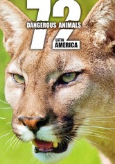 72 Tehlikeli Hayvanlar: Latin Amerika