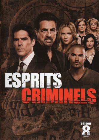 Saison 13 Esprits Criminels Streaming Ou Regarder Les Episodes