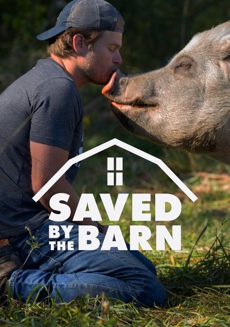 Saved By The Barn