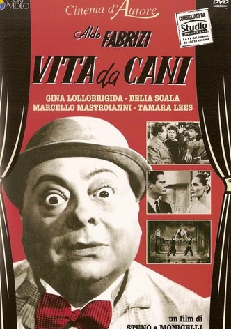 Vita da cani