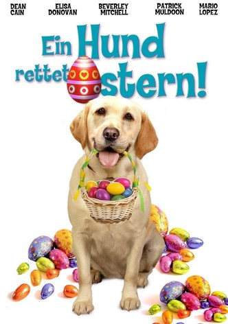 Ein Hund rettet Ostern