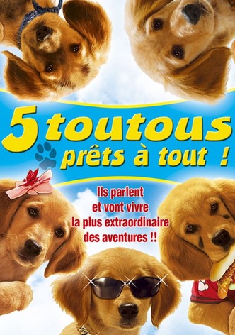 5 toutous prêts à tout