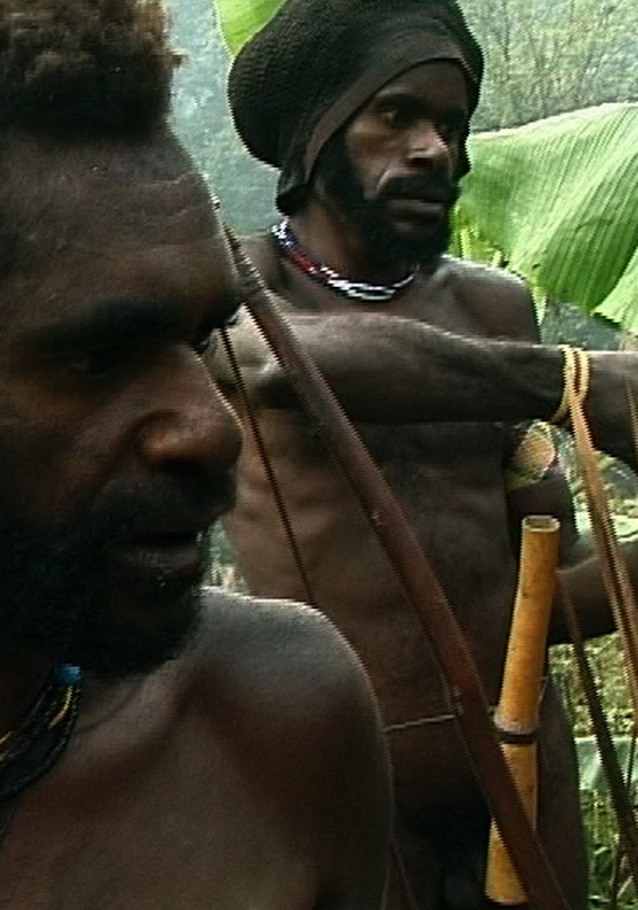 Le ciel dans un jardin