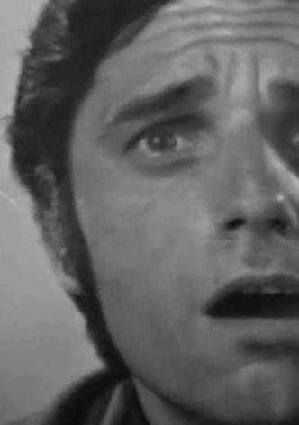 Las aventuras del hada Rebeca