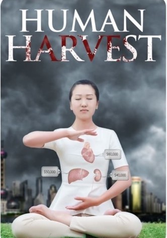 Human Harvest