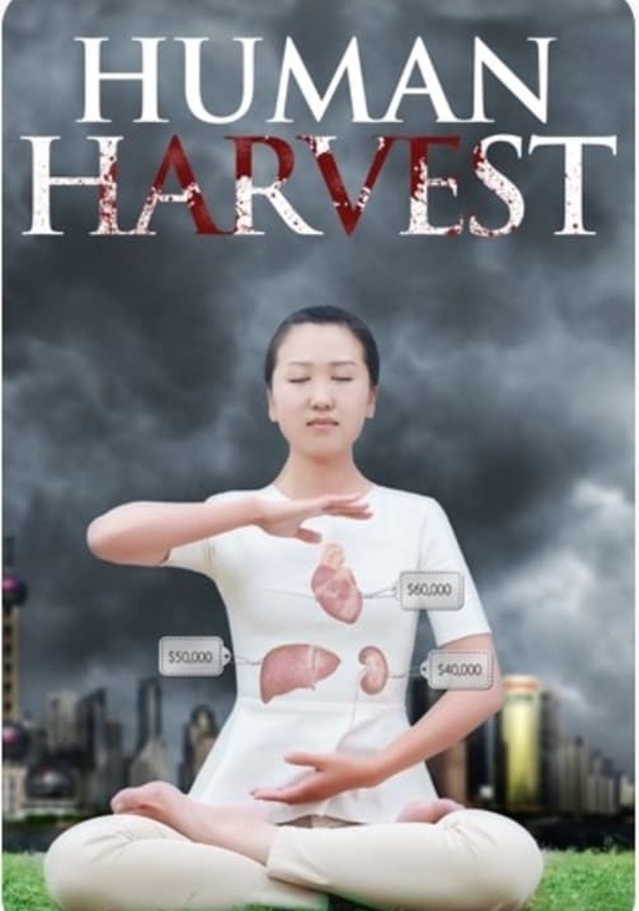 Human Harvest