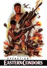 Operation Eastern Condors