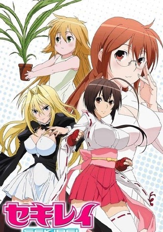 鹦鹉女神