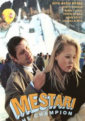 Mestari