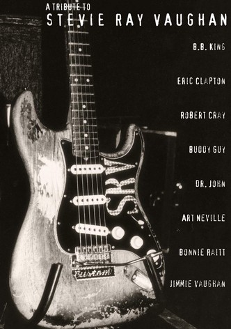 A Tribute to Stevie Ray Vaughan