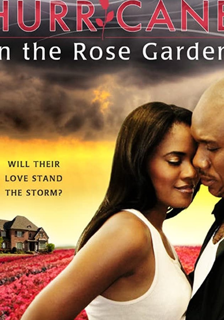 Hurricane In The Rose Garden