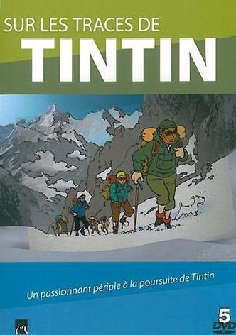 Sur les traces de Tintin