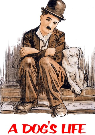 A Dog's Life