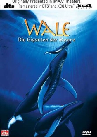 Wale: Die Giganten der Meere