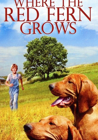 Fieles hasta la muerte