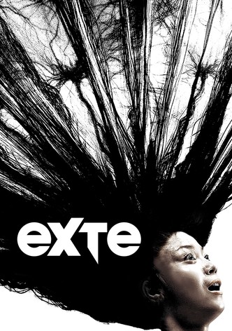 Exte: Hair Extensions